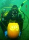 Thumbs/tn_Oct 28, 2006 BTW Fun Dive 251.jpg